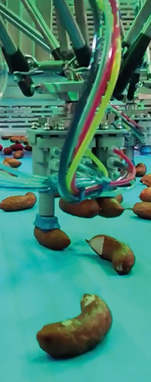 Curved Sausage 2