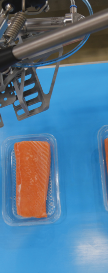Seafood RVB WEBP